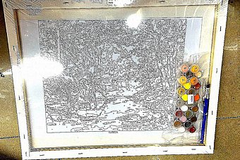 ����� ��� ������  - ��� �� ����� ������� ����